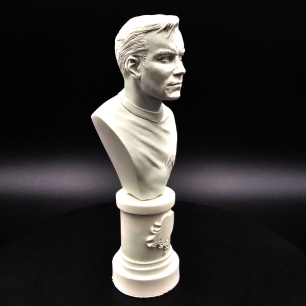 microMANIA Trek Set #1 resin bust set (4) – Stash Sale